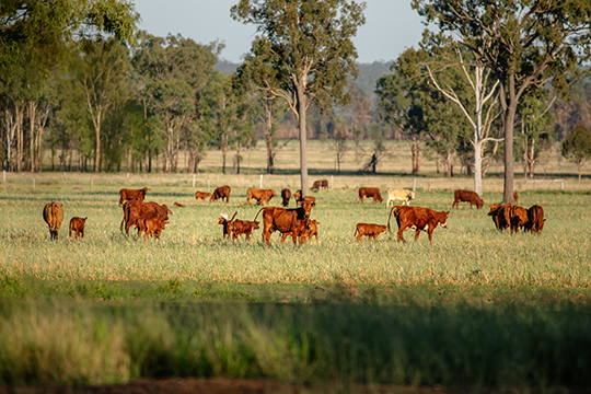 Cultivating aspiring farmers