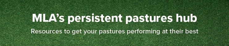 Persistent-pastures.jpg