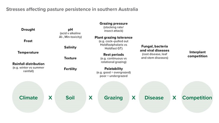 Stress-pasture-graphic.jpg