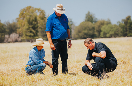 Grazing land management EDGE