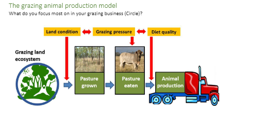 grazing-model.png