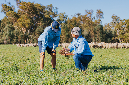 Pasture management
