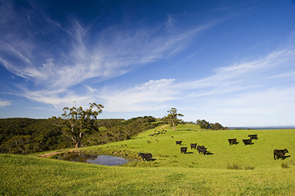 Profitable Grazing Systems