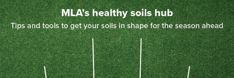 Healthy soils banner_700x250-11.jpg