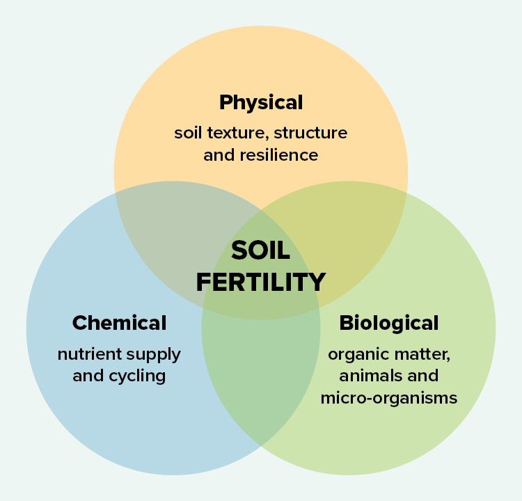 Healthy soils_diagram_750x720.jpg