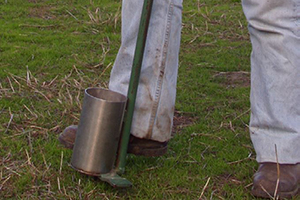 Five ways to check your soil condition