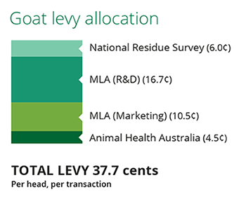 Goat-levy-stack