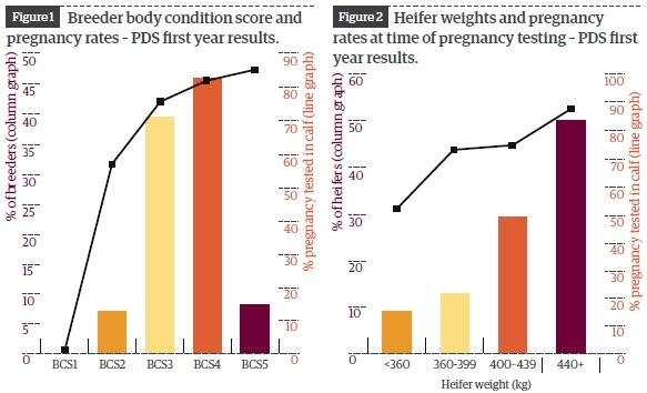 PDS-graphs.jpg