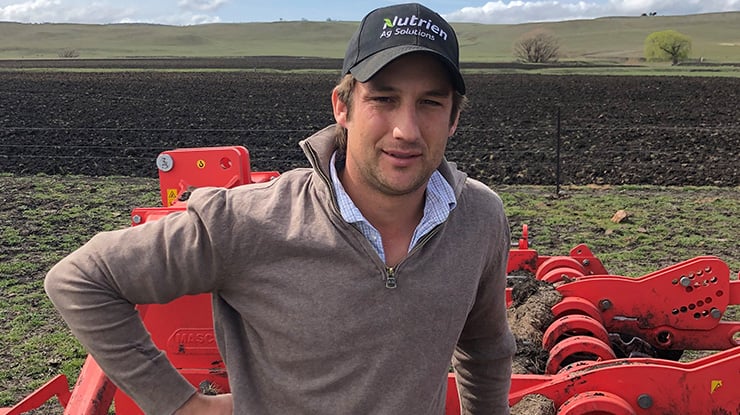 Brassica convert increases lamb weights