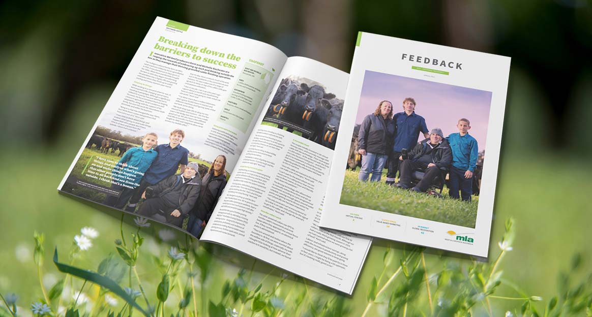 Feedback spring edition