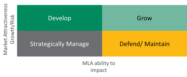 Market Classification Matrix