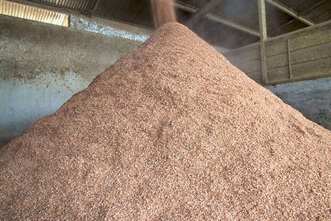 Kerwee-Feedlot__-8-thumb.jpg