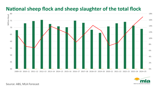 National sheep flock and sheep slaughter of the total flock 3rd july 2026
