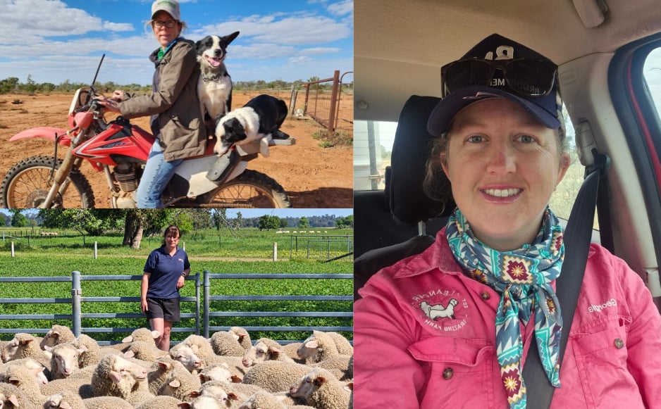 Three producers, three operations, shared lessons