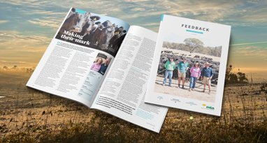 Feedback winter edition