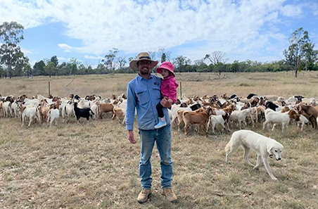 Kids+ project identifying goat fertility issues
