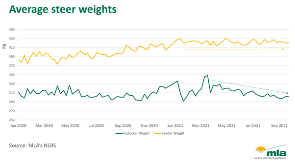 avg steer weights instory.png