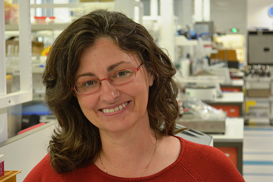 Caroline Hauxwell - Associate Professor, QUT 