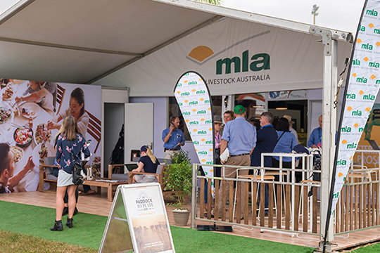 MLA showcase