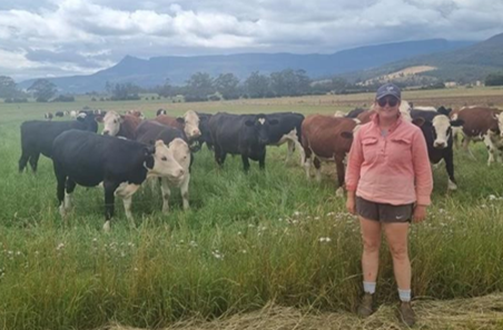 Beef from dairy boosts profitability