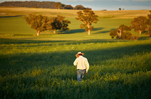 Getting to the carbon bottom line