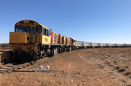 Weekly cattle and sheep market wrap