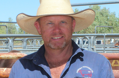 Top tips for buying bulls to boost herd reproductive performance