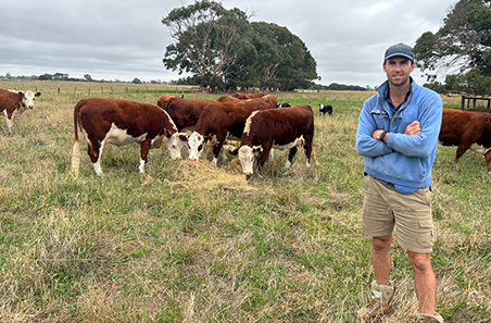 Robust herd benefits from new insights
