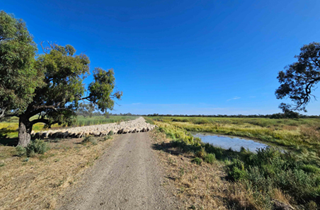 Podcast delivers trustworthy resource when taking on full-time farming