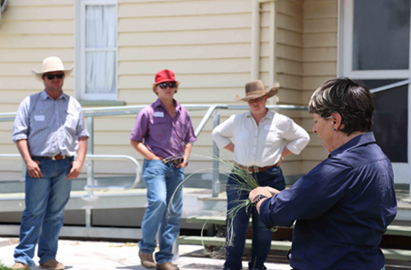 Learning the ‘why’ behind grazing decisions