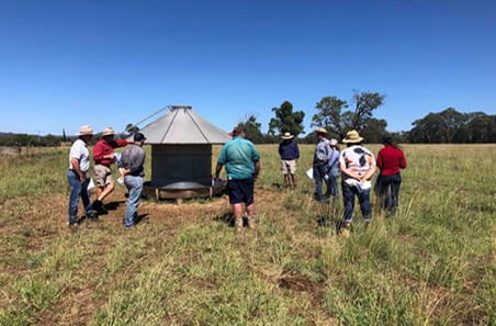 Livestock gains through making grain count