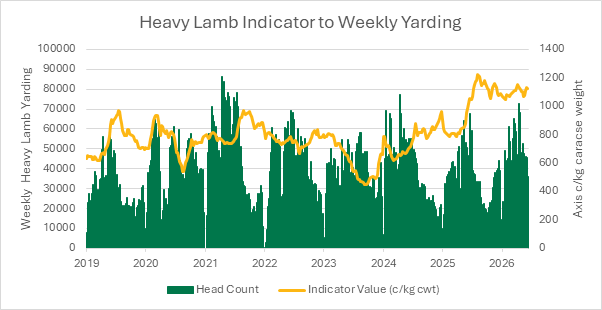 Graph june 12th 2026 Heavy lamb indicator to weekly yardings