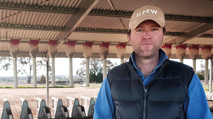 Will MacSmith finishes lambs in the feedlot so he can leave the pasture for Merino ewes and ewe lambs. Photo courtesy of Crown Agriculture