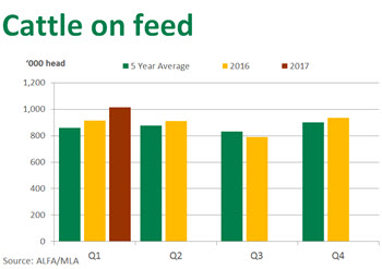 cattle-on-feed-graph