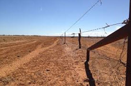 Producers reminded to use CVDs as drought continues