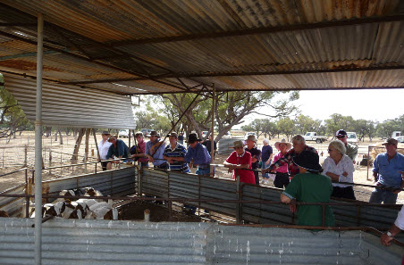 MLA invites applications for producer event sponsorships