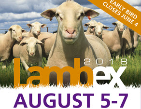 Global sheepmeat insights at LambEx 2018