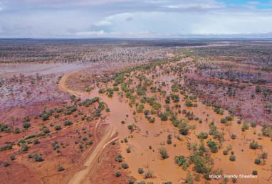 Queensland flood FAQs: Support for producers