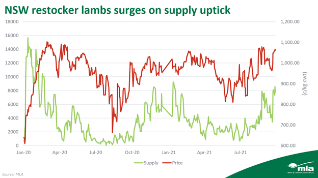 lamb supply instory.png