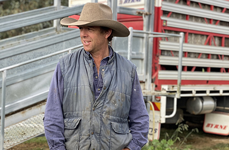 Preparation for transport locks in cattle condition
