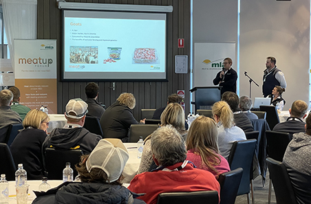 Longreach to host goat and sheep industry update