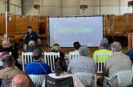 Implementing eID’s on-farm and improving reproductive success 