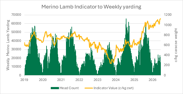 Graph of Merino lamb indicator to weekly yarding june 12th 26
