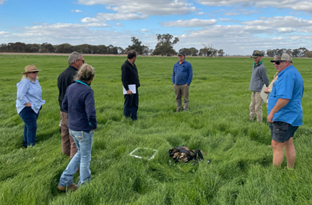 The tools helping producers protect their feedbase