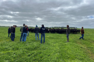 Early weaning helps tackle tough seasons