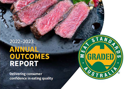 MSA Annual Outcomes Report 2022-23