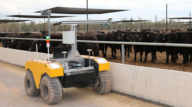 The BunkBot will be demonstrated on-site at Mort & Co's Pinegrove Feedlot near Millmerran, Queensland.