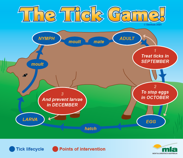 210831 Tick game_reduced.png
