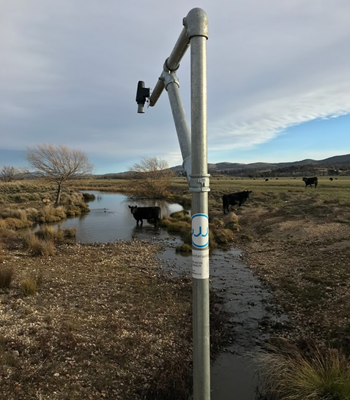 Carwoola water.png