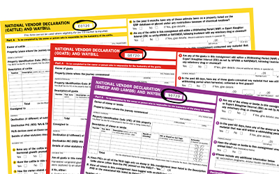 NVD FORMS 400x250.jpg